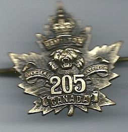 205th Tiger Bn Collar Badge
